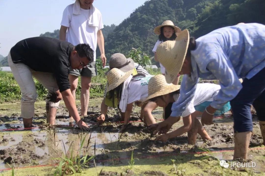 走近冬奥会 | 国际小记者夏令营火热招募啦！(图21)