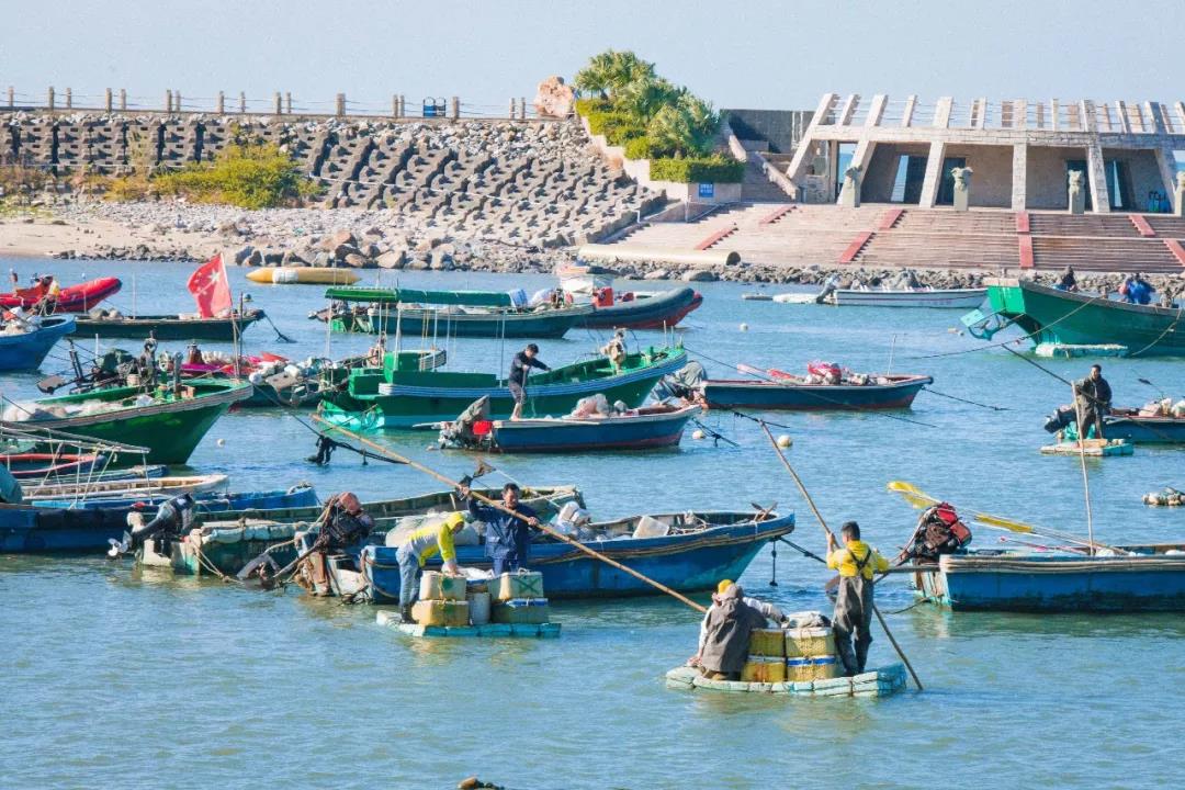 2019阳江海陵岛环岛国际马拉松赛昨日正式启动报名(图8)